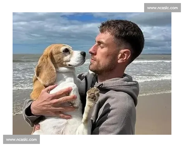 拉姆塞悬赏万美金寻犬 Halo，三周搜寻仍盼归期