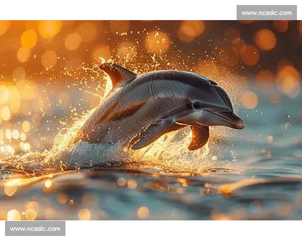 海焰之灵亮相!白海豚跃浪燃动湾区全运激情 海焰之灵亮相!白海豚跃浪燃动湾区全运激情